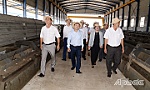 Đồng Tháp: Tạo điều kiện thuận lợi nhất cho doanh nghiệp phát triển