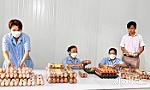Thành công với mô hình nuôi gà ác đẻ trứng