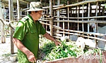 Thương binh Huỳnh Văn Đợi vượt khó, làm kinh tế giỏi
