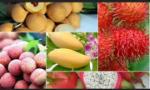 Đã giải quyết hồ sơ xuất khẩu trái cây, rau củ sang châu Âu