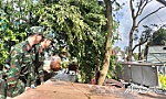 Đồng Tháp: Chủ động xây dựng phòng thủ dân sự vững chắc trước thiên tai và biến đổi khí hậu