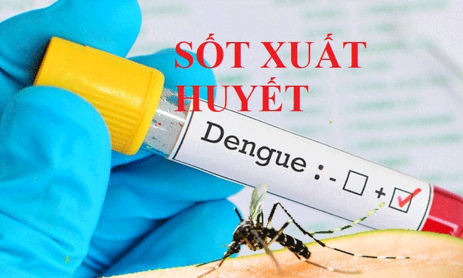 Thủ tướng yêu cầu tăng cường phòng, chống bệnh sốt xuất huyết