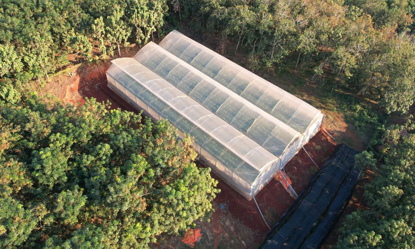 Kieufarm - Giải pháp nhà màng chuyên nghiệp cho nông nghiệp hiện đại