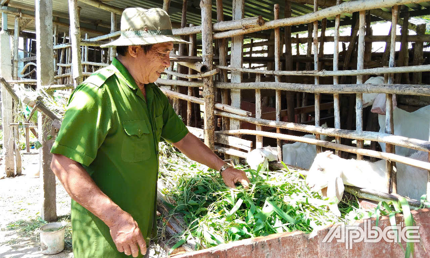Thương binh Huỳnh Văn Đợi vượt khó, làm kinh tế giỏi