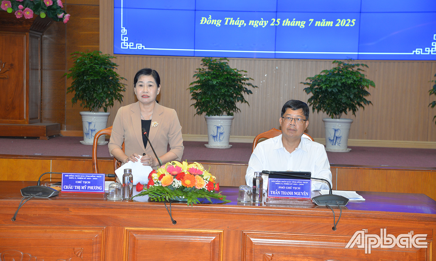 HĐND tỉnh Đồng Tháp trao đổi về hoạt động của HĐND cấp xã trên địa bàn tỉnh