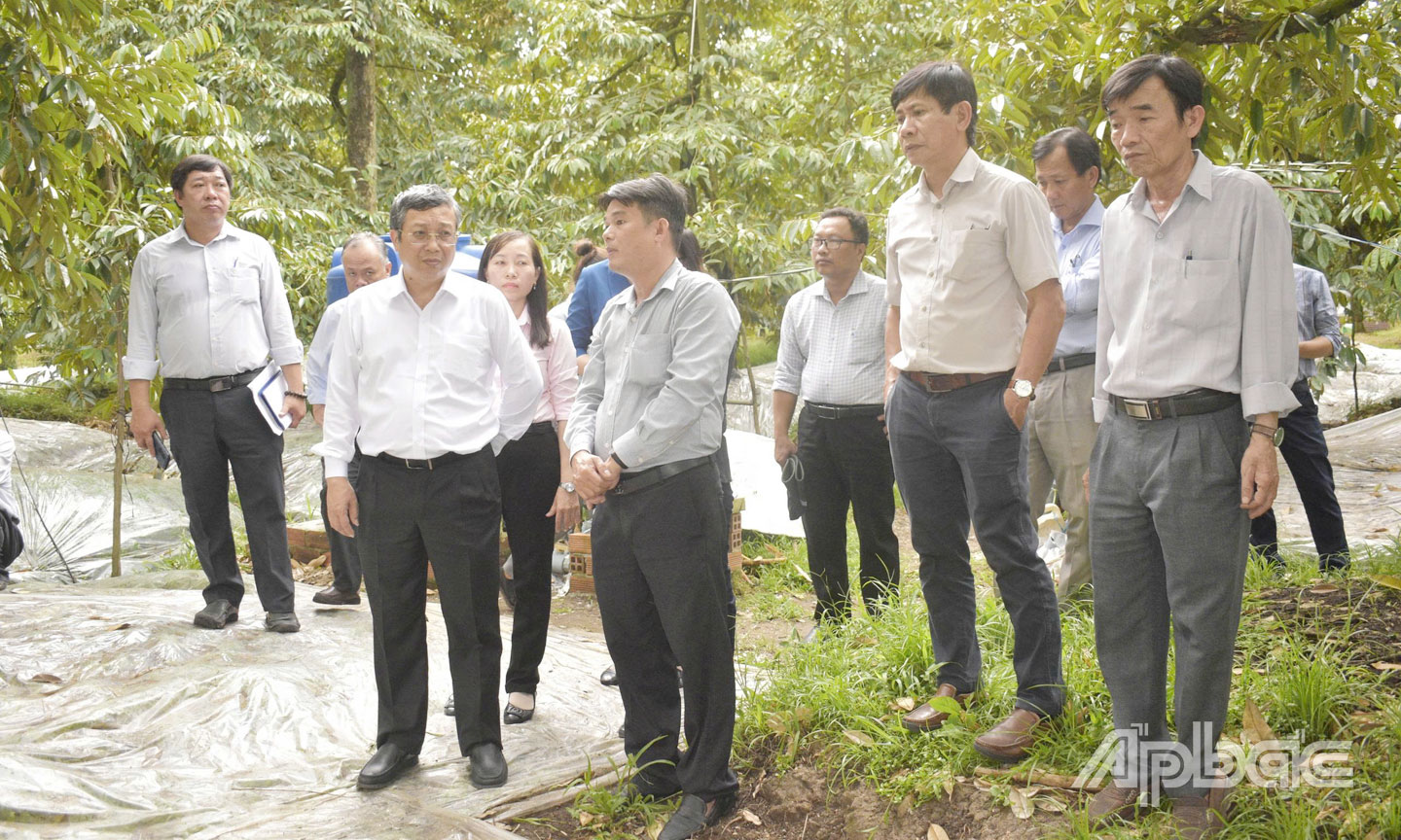 Ngành Nông nghiệp sẽ tiếp tục tăng cường quản lý mã số vùng trồng, cơ sở đóng gói trên địa bàn tỉnh.