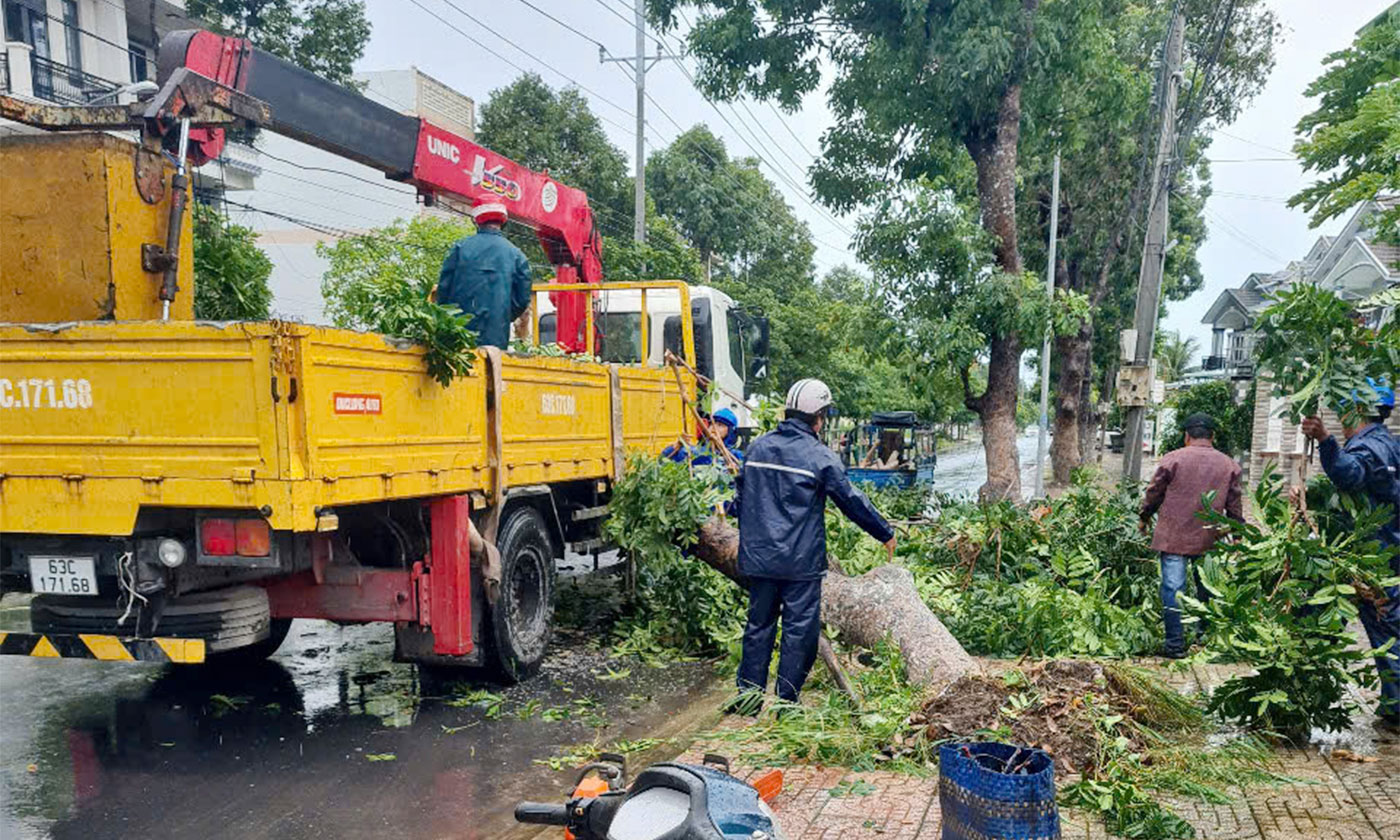 Lực lượng chức năng dọn dẹp cây xanh bị đổ ngã trên đường Trần Công Tường, phường Gò Công.