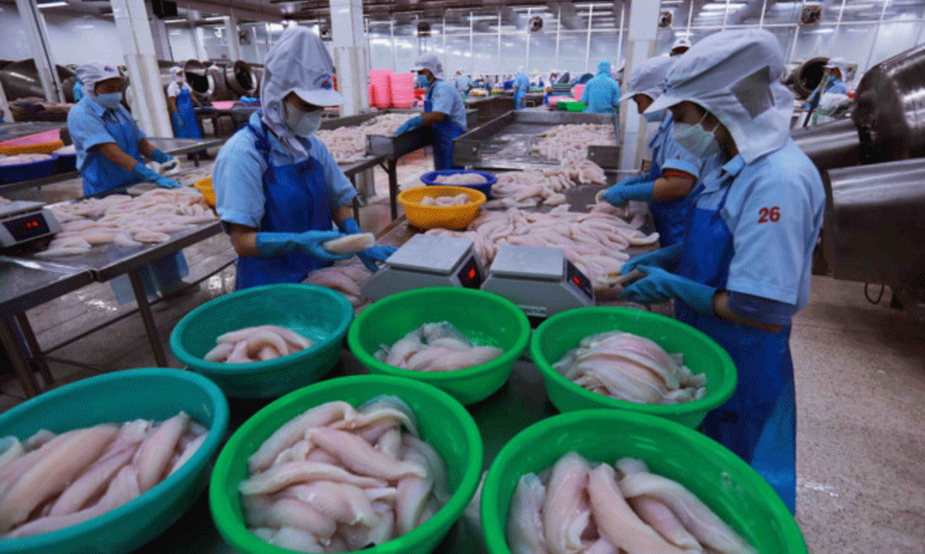 Chế biến thủy sản xuất khẩu. (Ảnh: Đức Duy/Vietnam+) 