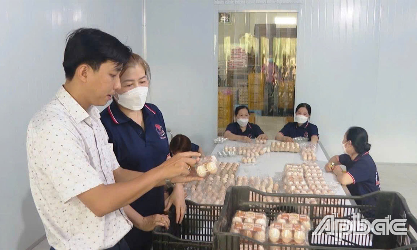 Chất lượng trứng luôn được công ty đặt lên hàng đầu.