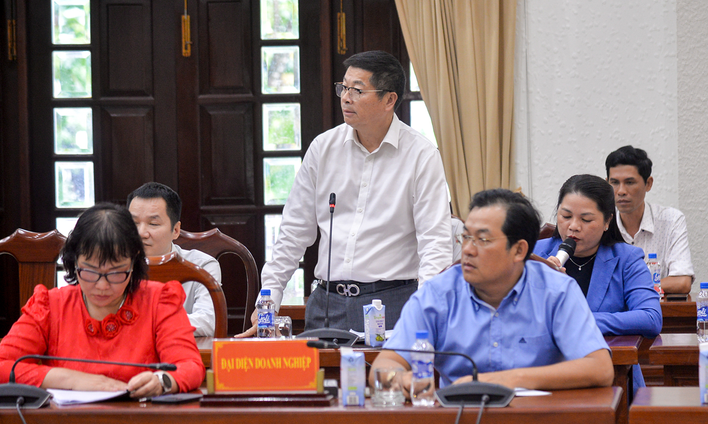 Đại diện Công ty TNHH Phát triển Khu công nghiệp Long Giang phát biểu kiến nghị tại hội nghị.