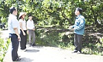Chôm chôm Tân Phong: Trái ngọt 