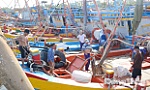 Đồng Tháp: Triển khai các nhiệm vụ, giải pháp chống khai thác IUU