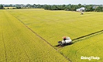 Đồng Tháp: Lấy hiệu quả kinh tế và thị trường 