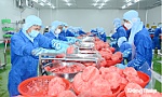 Đầu tư chế biến sâu: Đòn bẩy nâng tầm nông sản Đồng Tháp