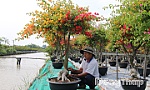 Xã Tân Dương: Cơ hội phát triển sau sáp nhập