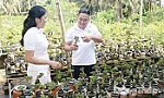 Độc, lạ, bộ sưu tập hơn 5.000 cây bonsai 