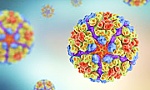 Hiểu đúng về vi rút Chikungunya để không phải lo lắng