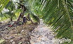 Khẩn trương khắc phục tình trạng ô nhiễm từ trang trại sâu gạo ở xã Long Hưng