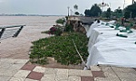 Kè Thường Thới Tiền tiếp tục xảy ra sạt lở dài khoảng 55m