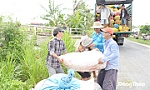 Giá lúa tiếp tục giảm, nông dân thêm khó