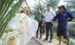 Đồng Tháp: Khai thác lợi thế để phát triển vùng biên giới