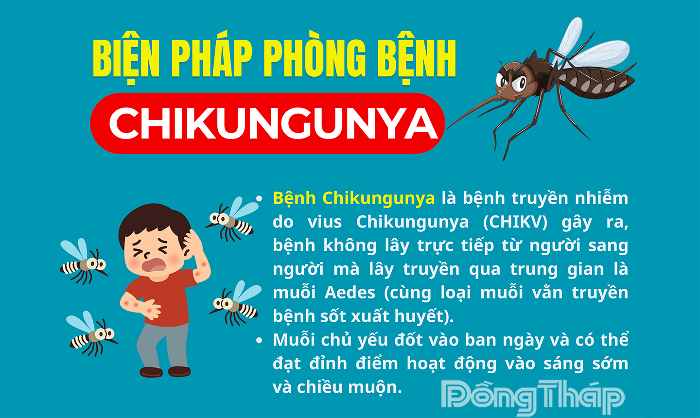 [Infographic] Biện pháp phòng bệnh Chikungunya