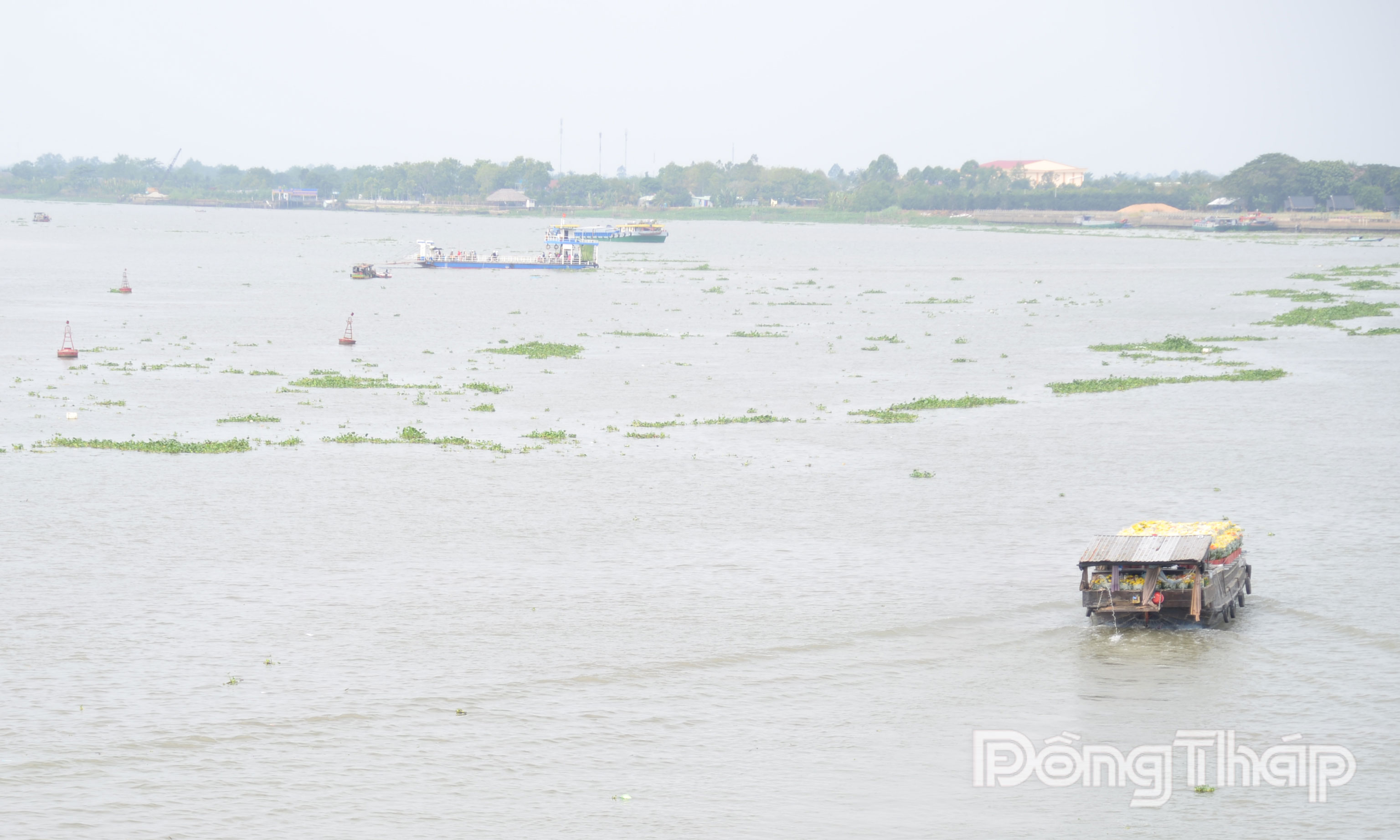 Lũ trên dòng chính sông Mê Công đang lên khá mạnh.