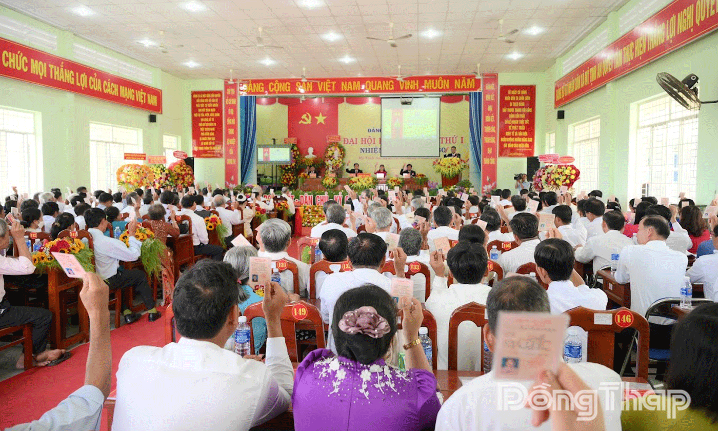 Đại biểu biểu quyết thông qua Nghị quyết Đại hội.