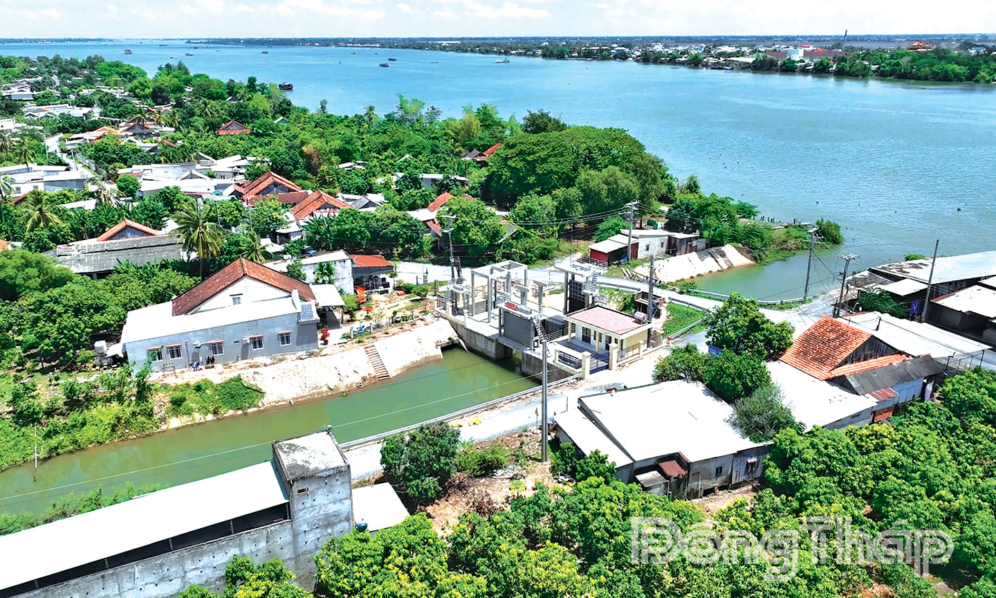 Một góc xã Cù lao Tân Long.