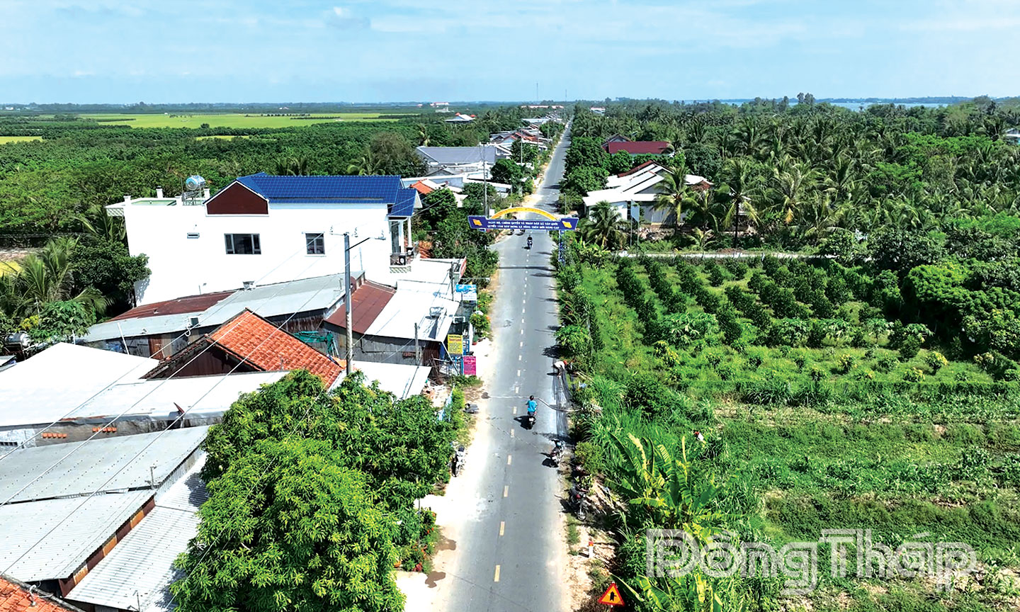 Xã Tân Long có thế mạnh về phát triển cây trồng có giá trị kinh tế cao.